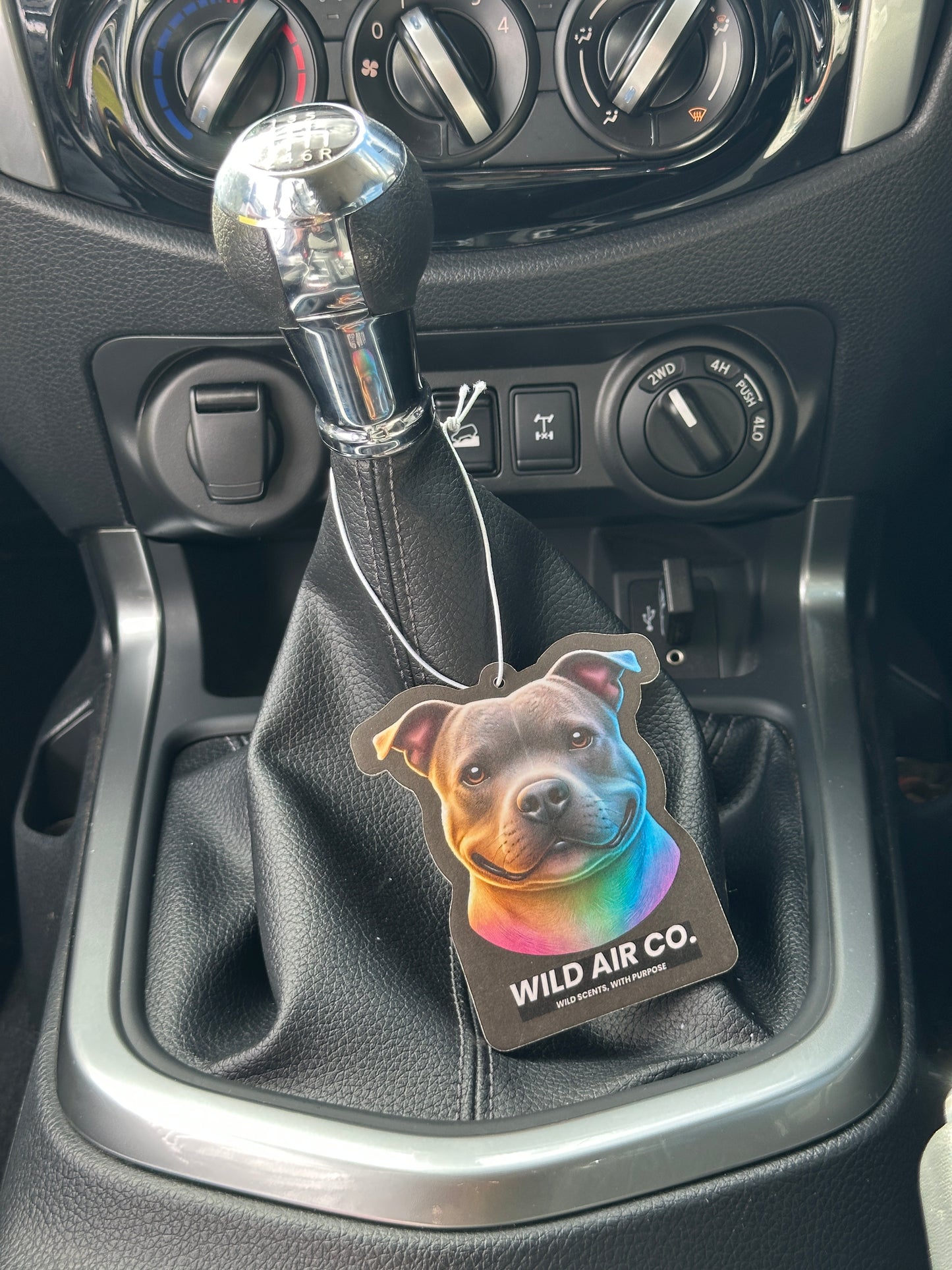 Staffordshire Bull Terrier Dog