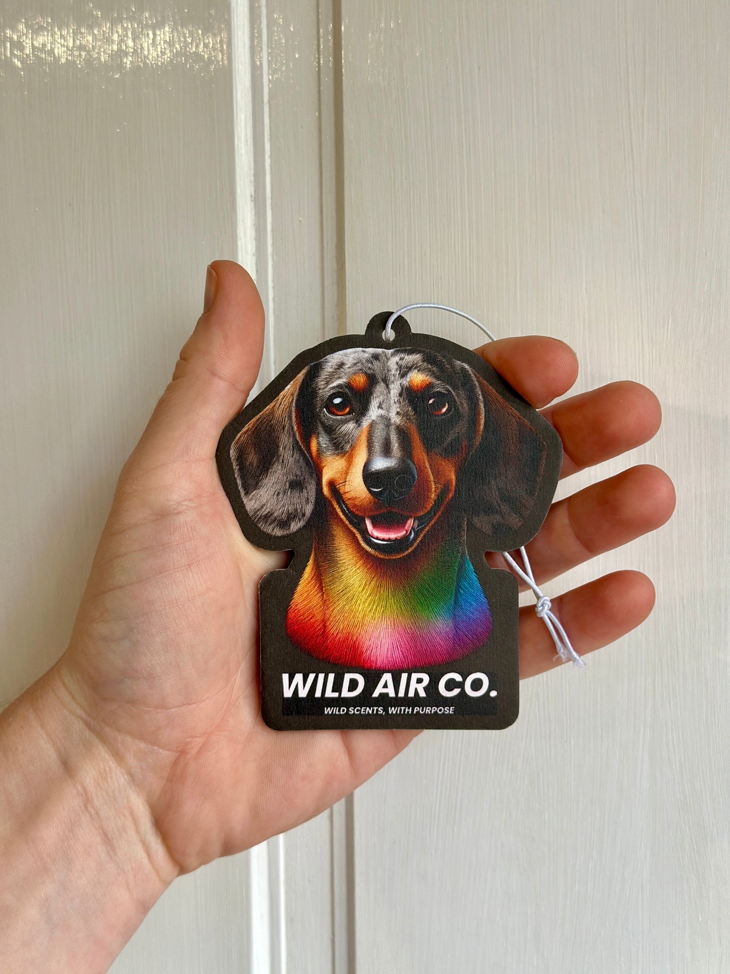 Dachshund Dog