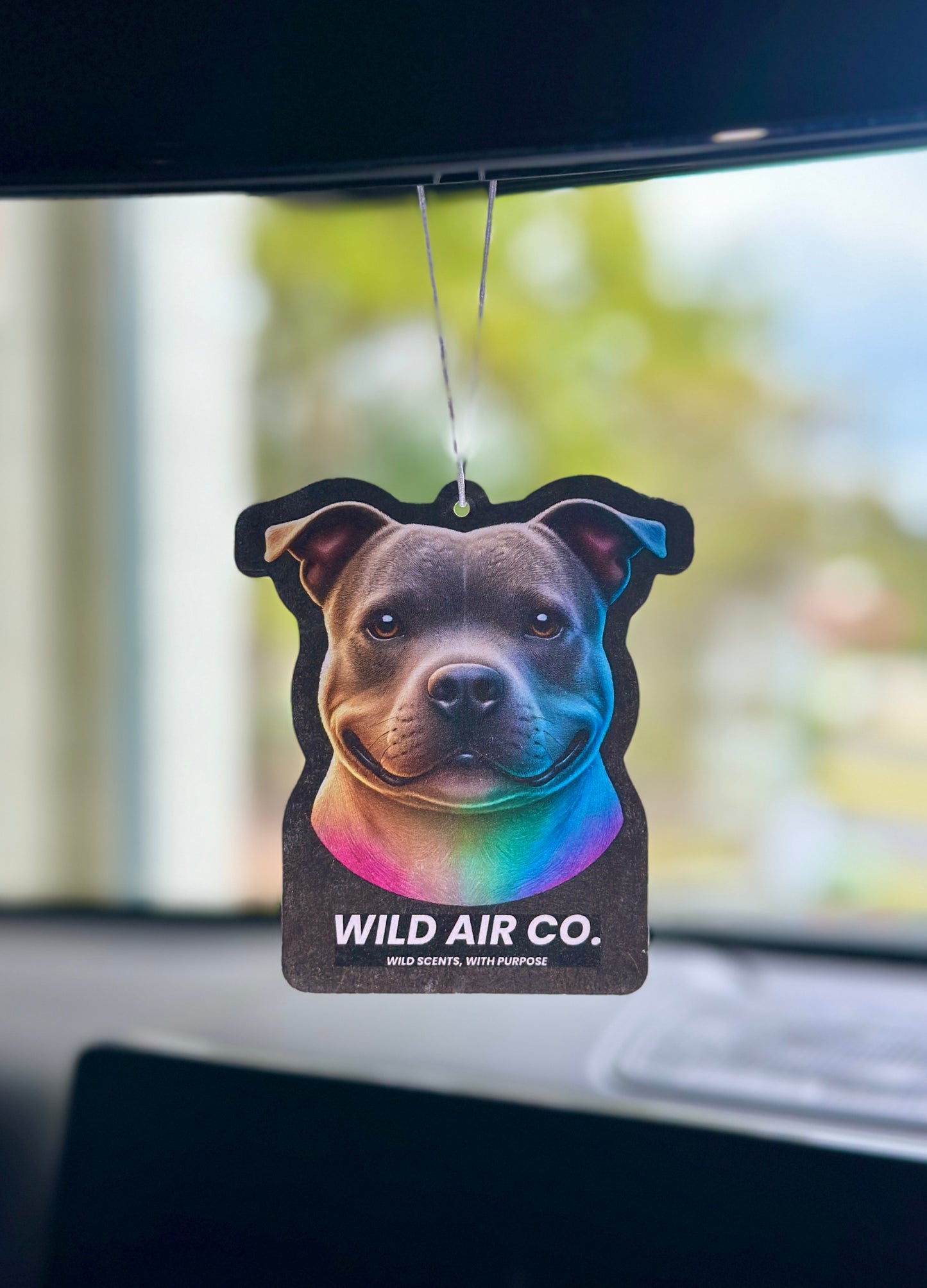 Staffordshire Bull Terrier Dog