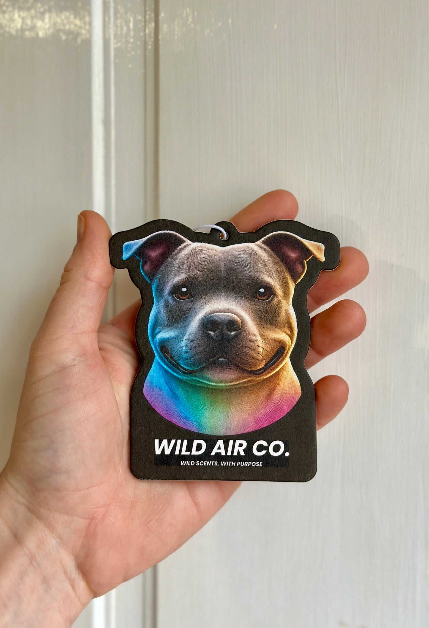 Staffordshire Bull Terrier Dog