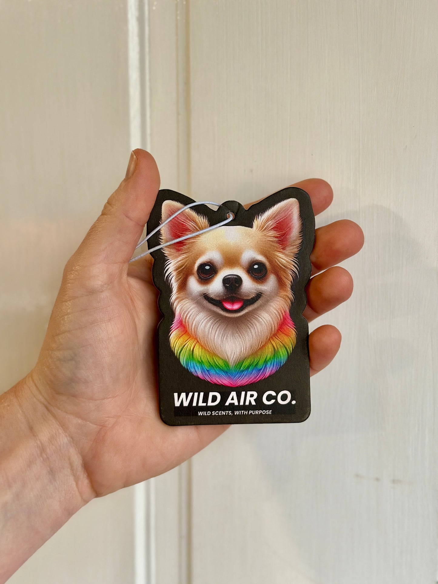 Chihuahua Dog