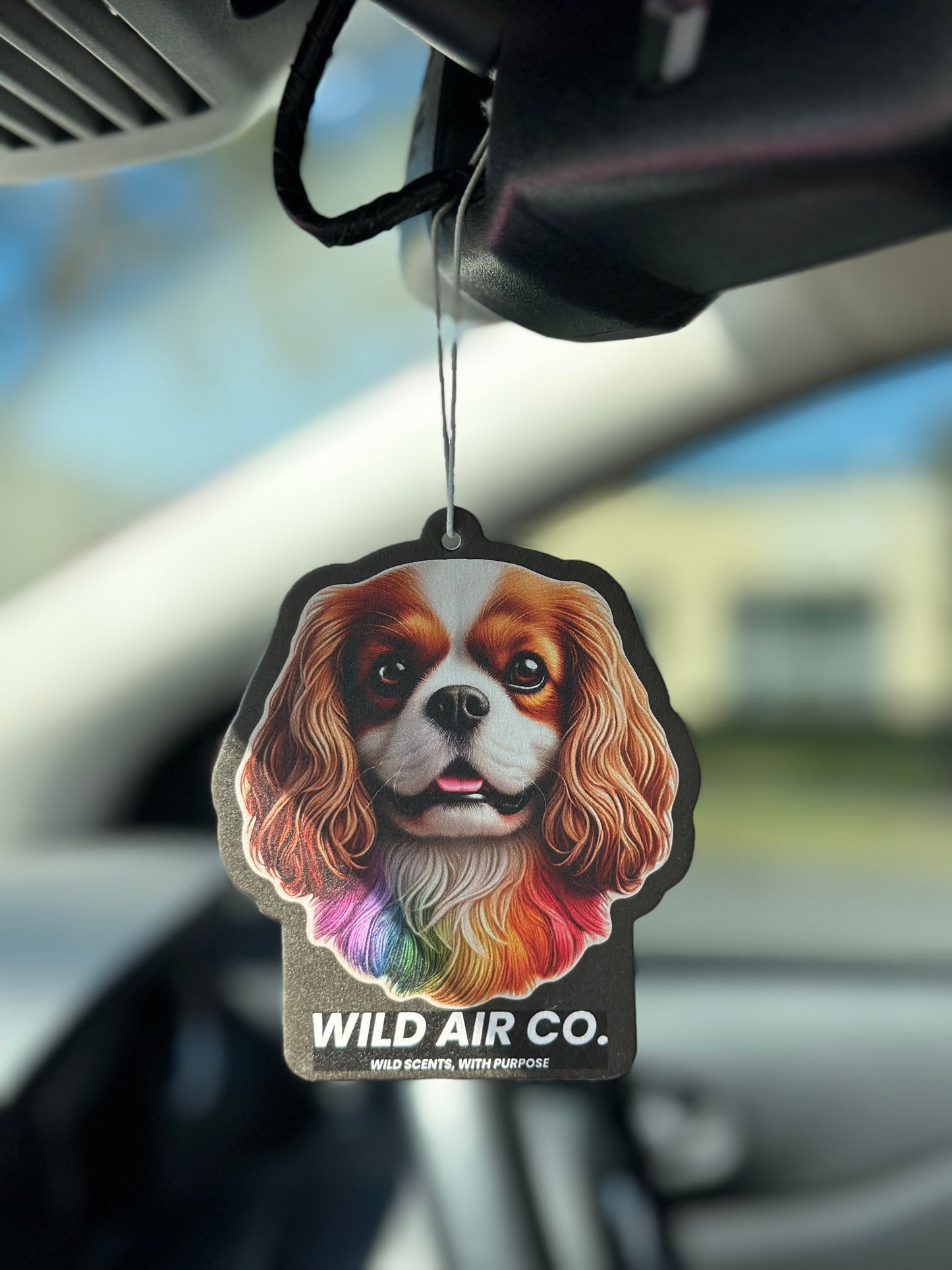 Cavalier King Charles Spaniel Dog