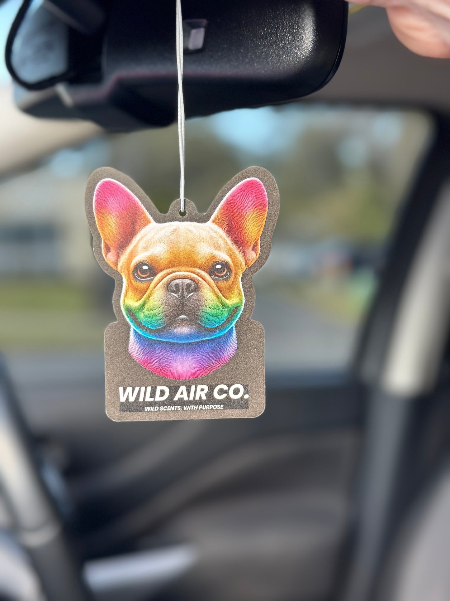 French Bulldog