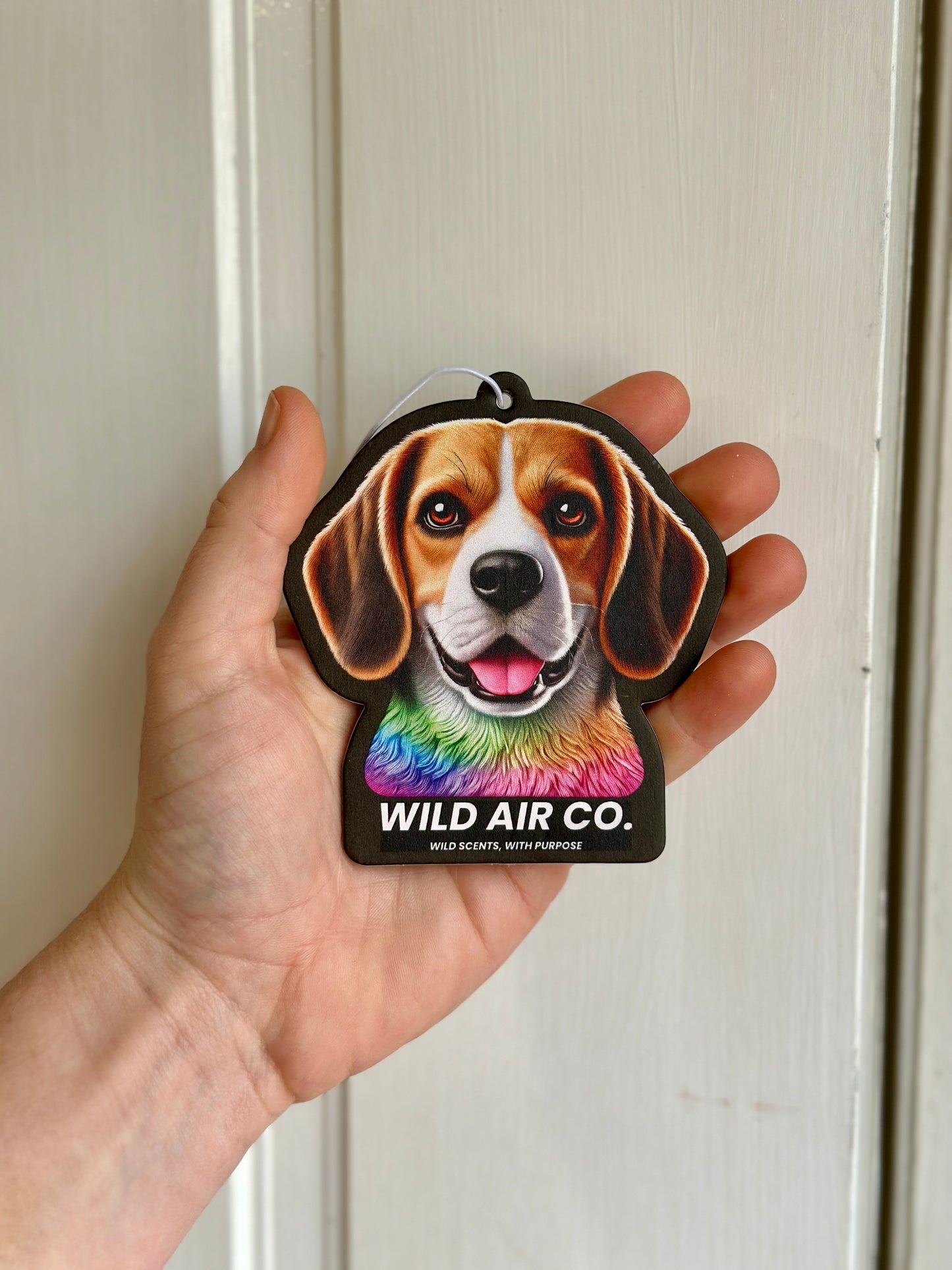 Beagle Dog