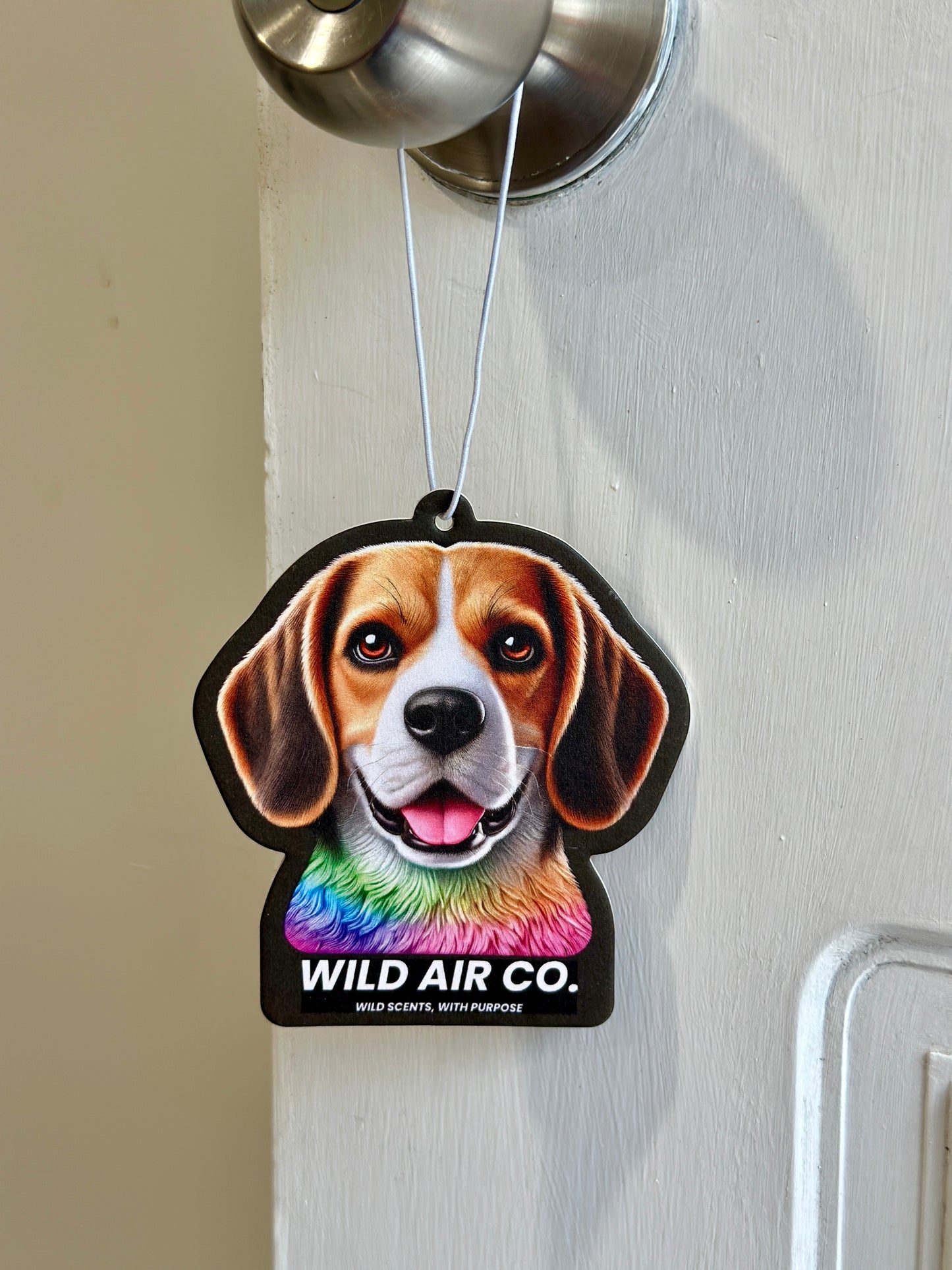 Beagle Dog