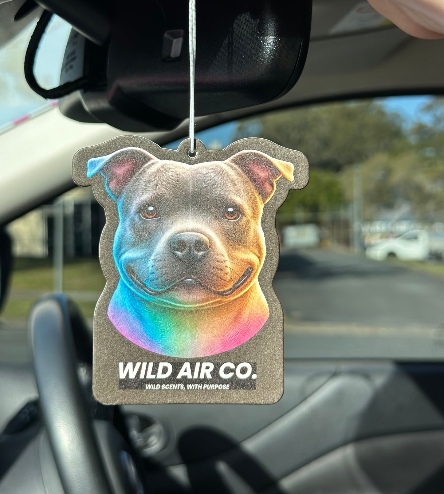 Staffordshire Bull Terrier Dog