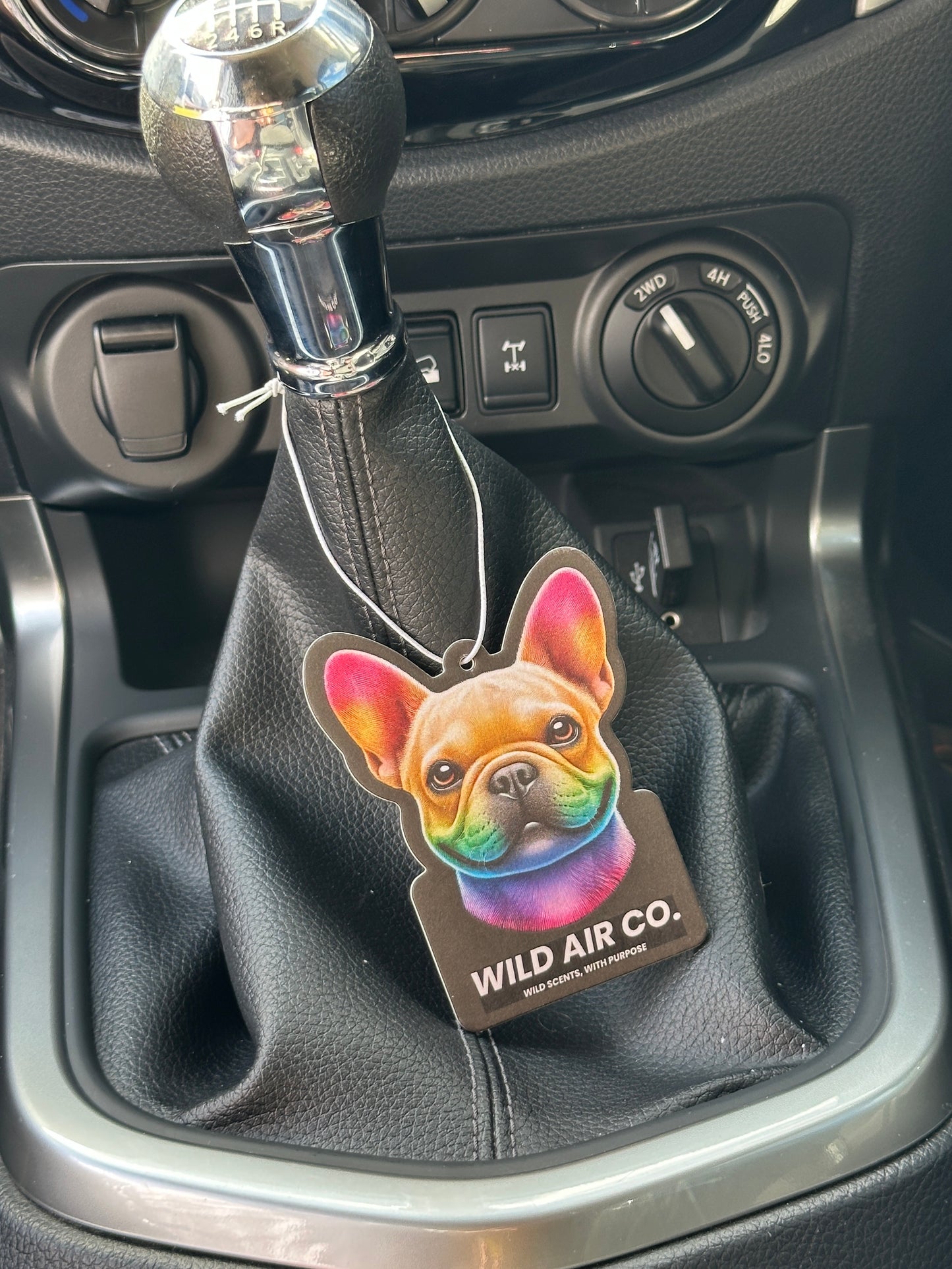French Bulldog