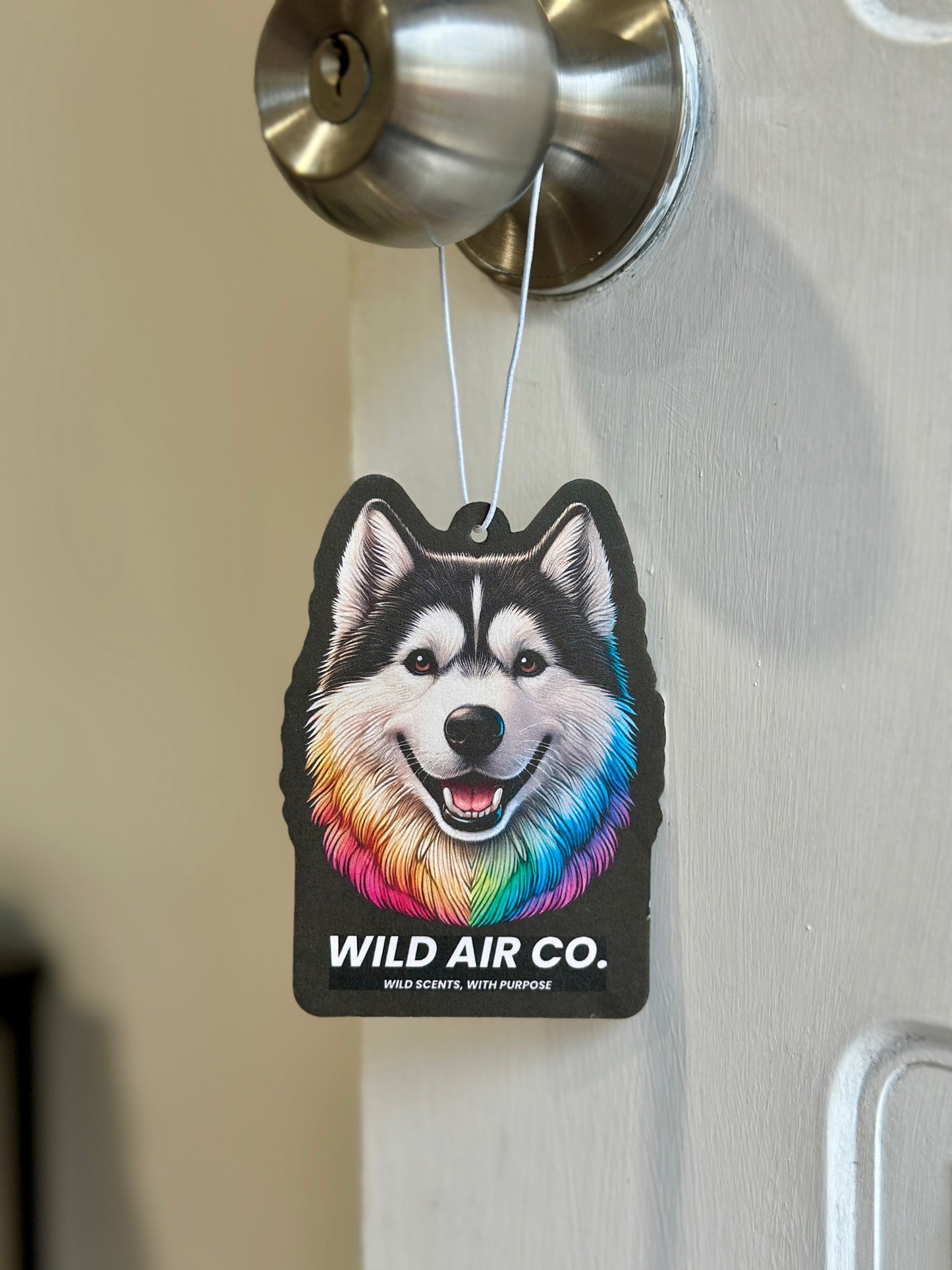 Husky Dog