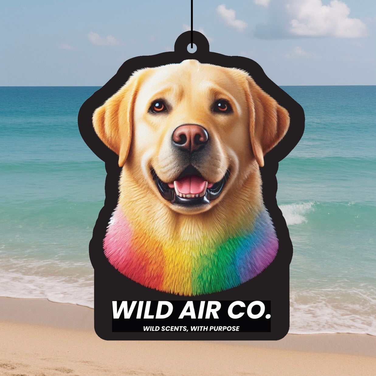 Labrador Dog