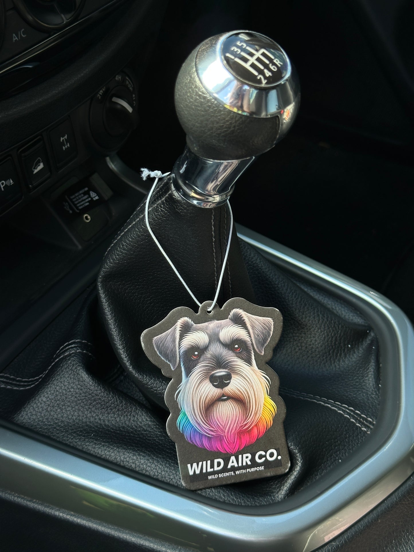 Schnauzer Dog
