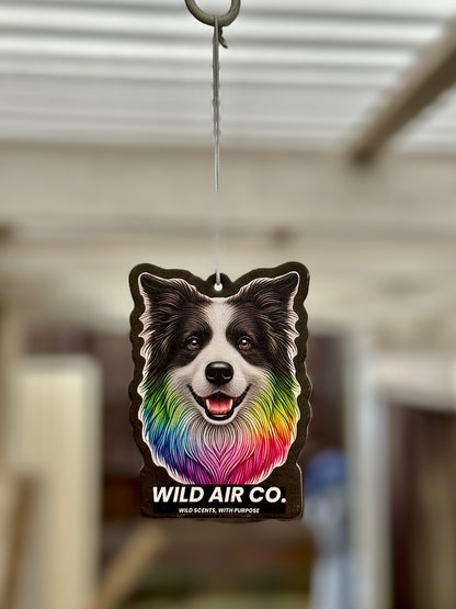 Border Collie Dog