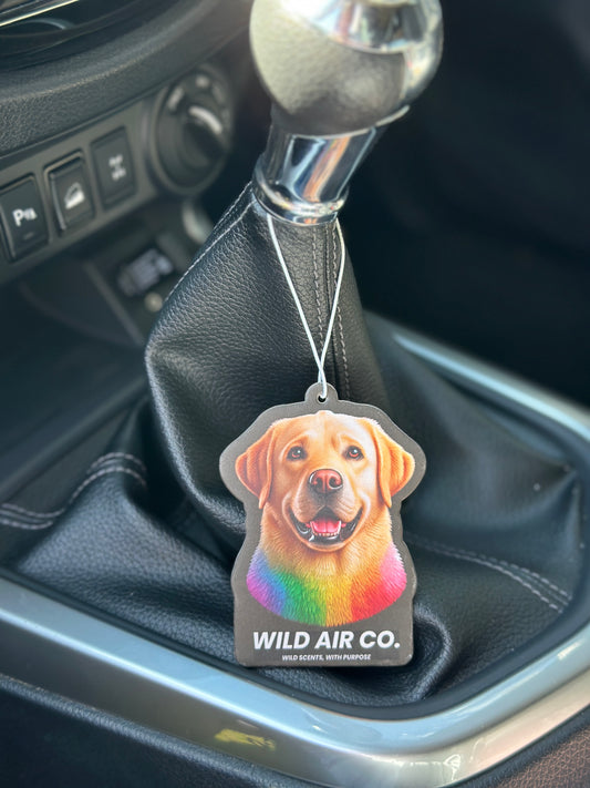 Labrador Dog
