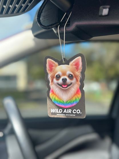 Chihuahua Dog