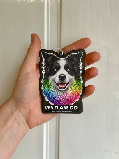 Border Collie Dog