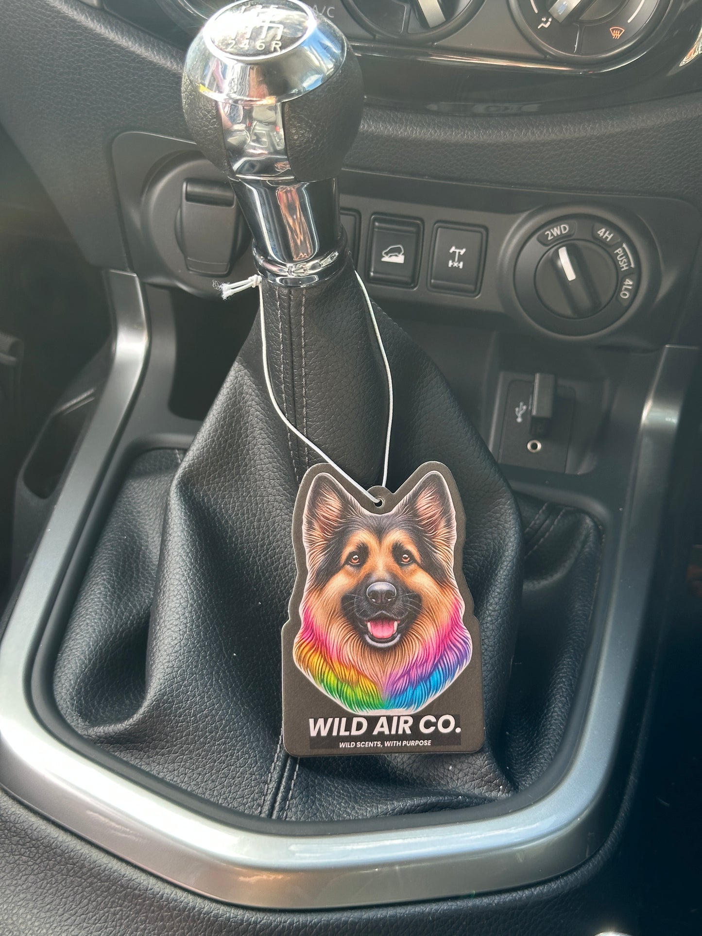 German Shepherd Dog