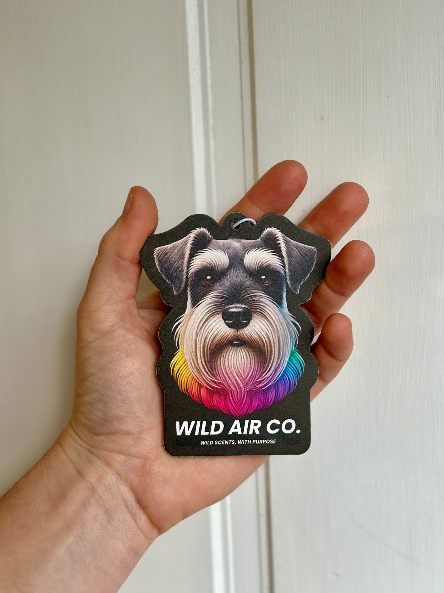 Schnauzer Dog
