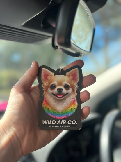 Chihuahua Dog