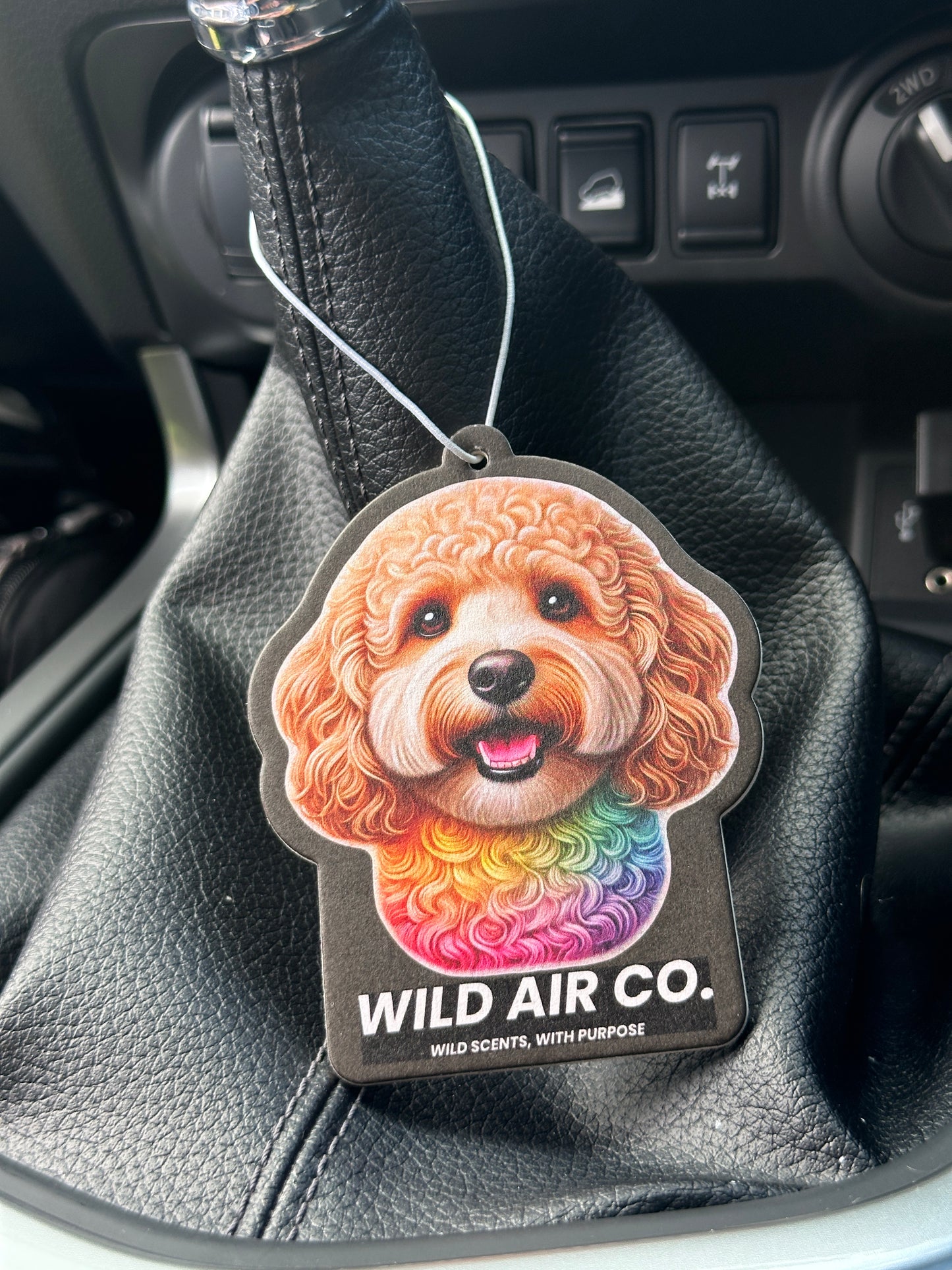 Cavoodle Dog