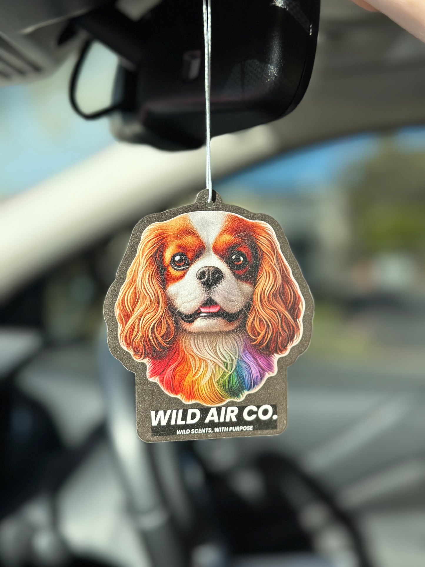 Cavalier King Charles Spaniel Dog