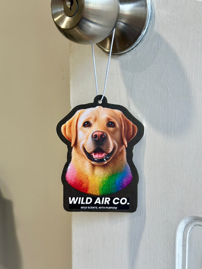 Labrador Dog