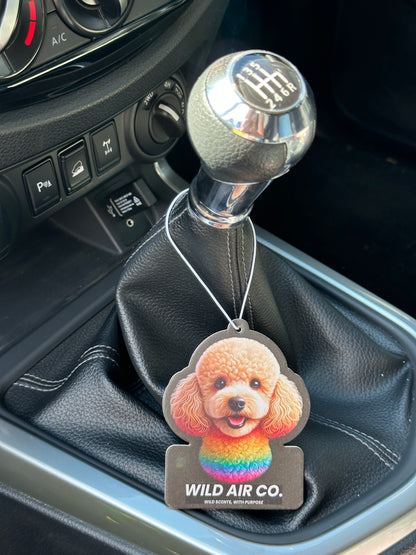 Toy Poodle Dog