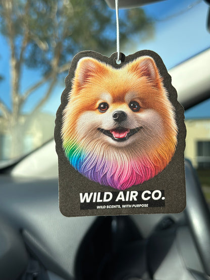 Pomeranian Dog