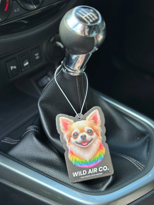 Chihuahua Dog