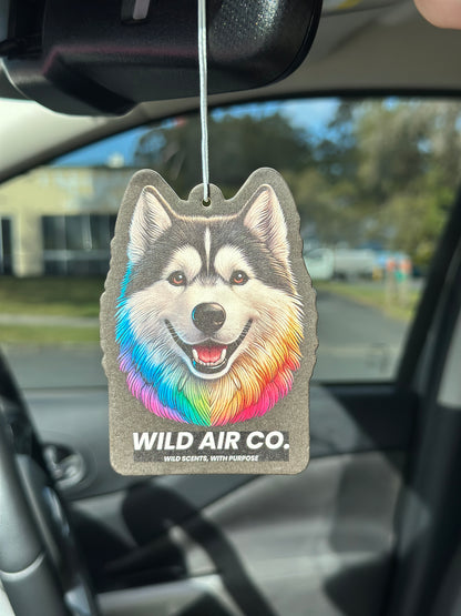 Husky Dog