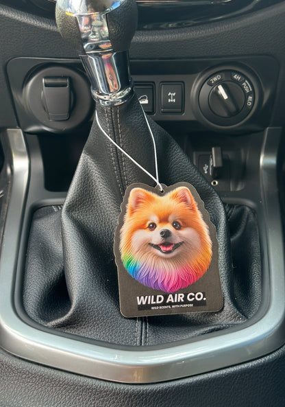 Pomeranian Dog
