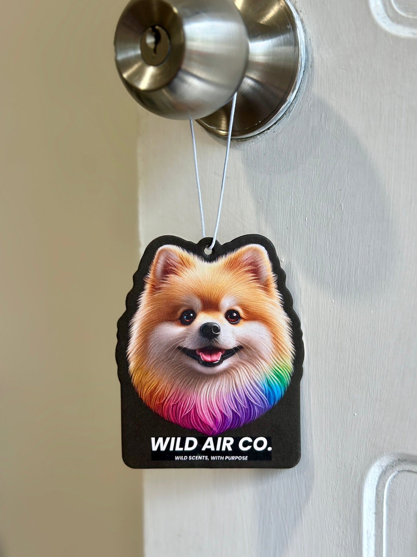 Pomeranian Dog