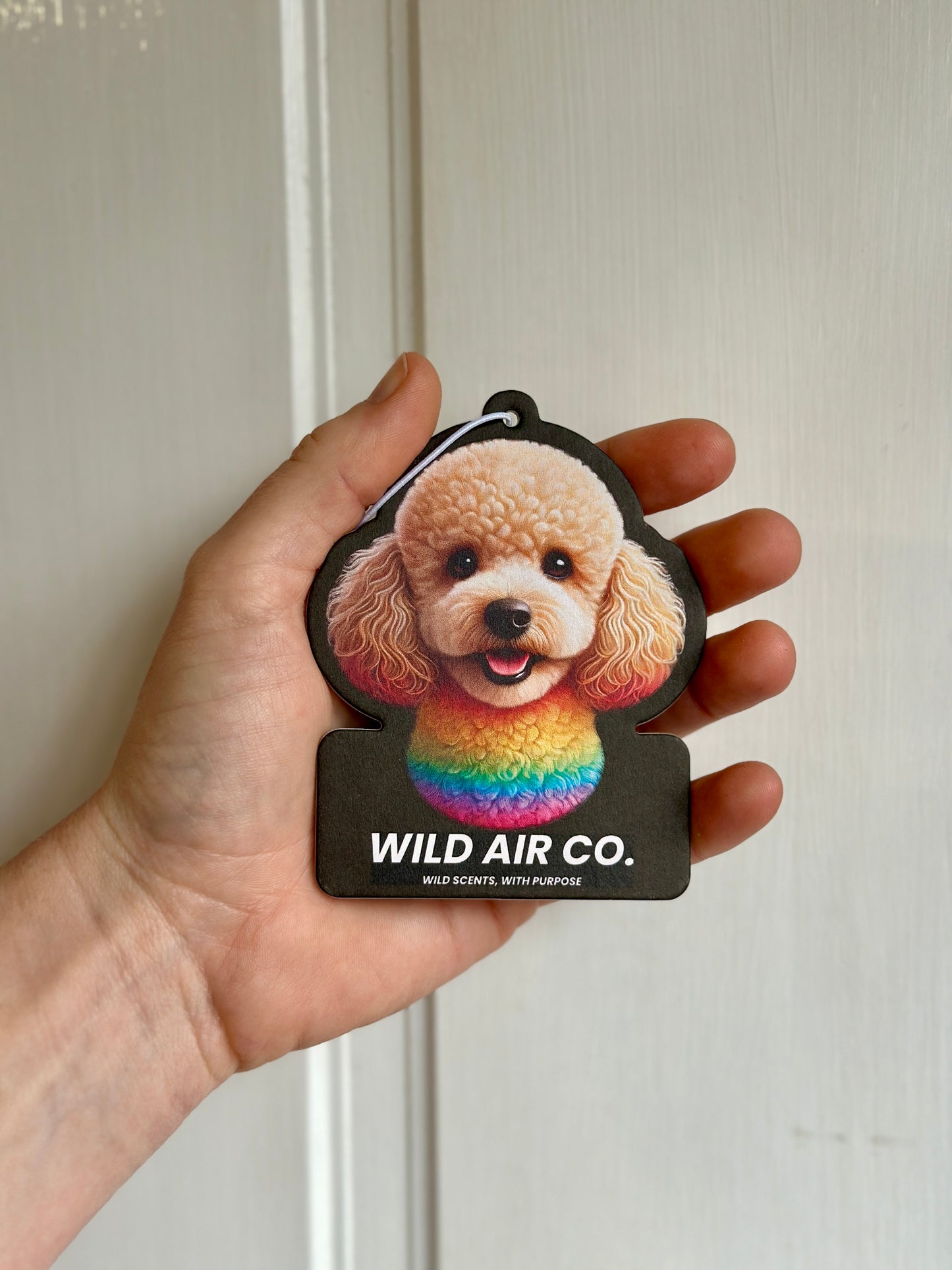 Toy Poodle Dog