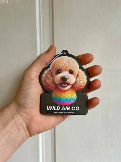 Toy Poodle Dog