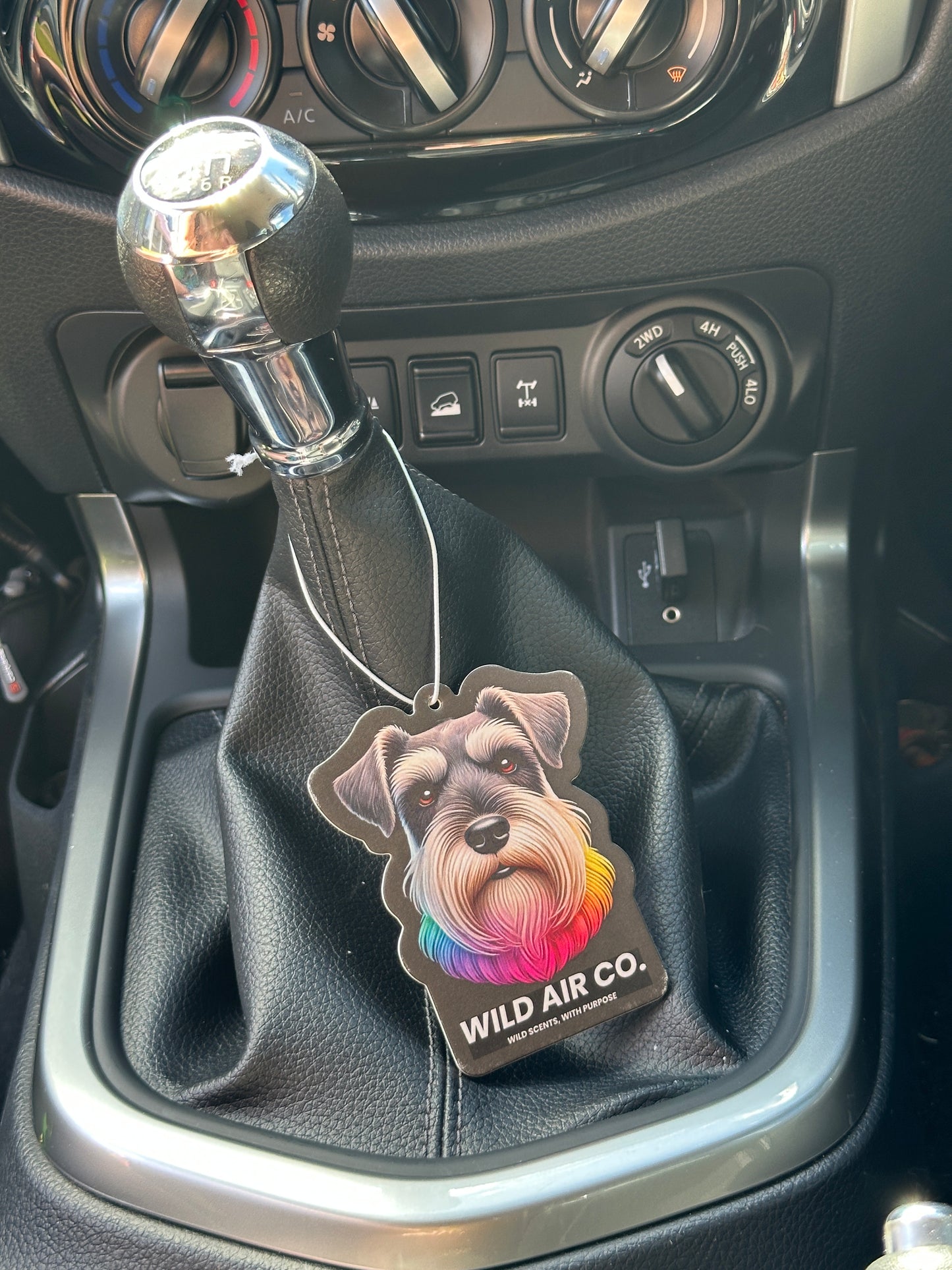 Schnauzer Dog