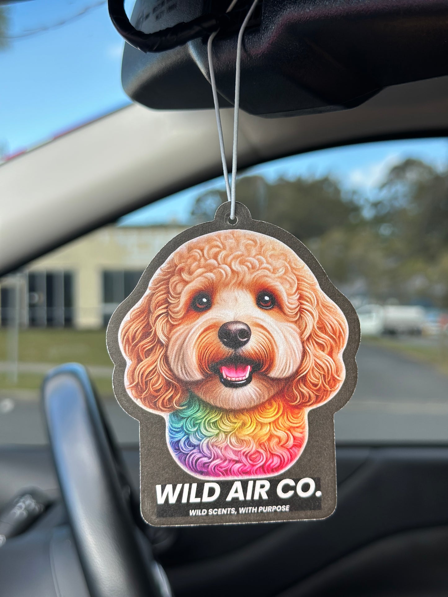 Cavoodle Dog