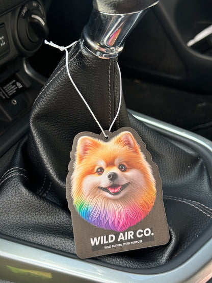 Pomeranian Dog