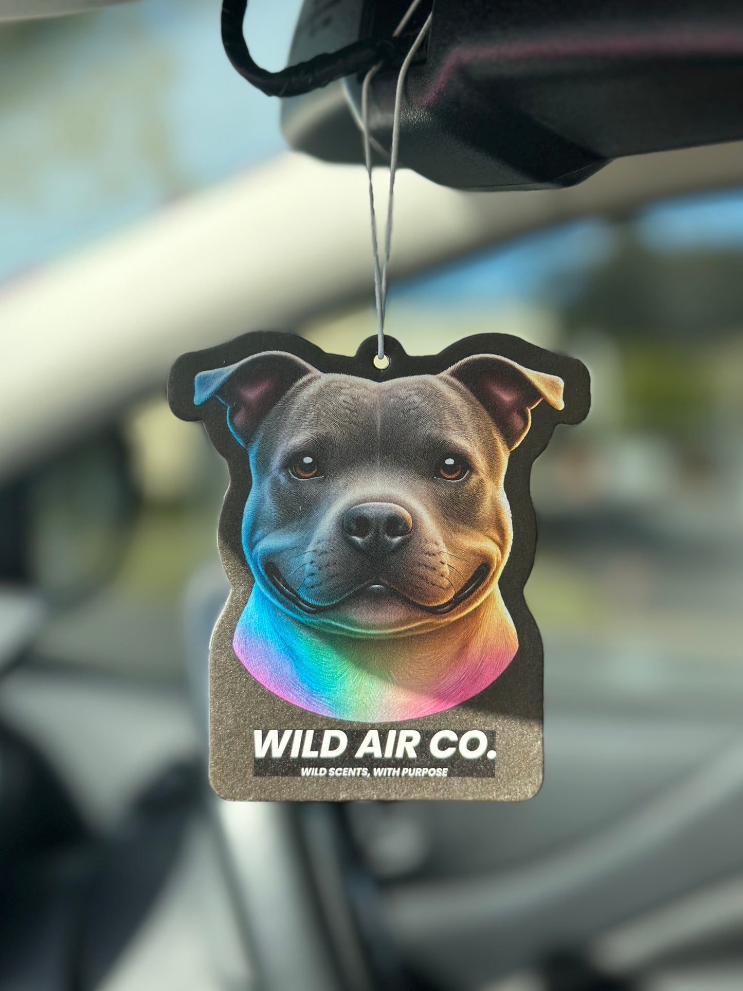 Staffordshire Bull Terrier Dog