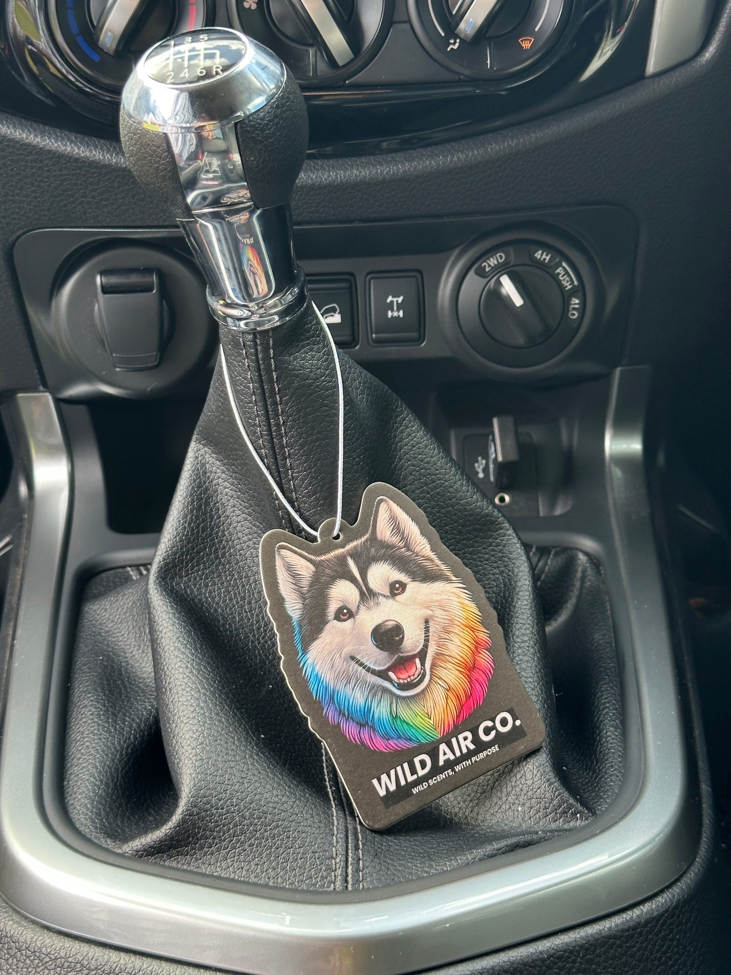 Husky Dog