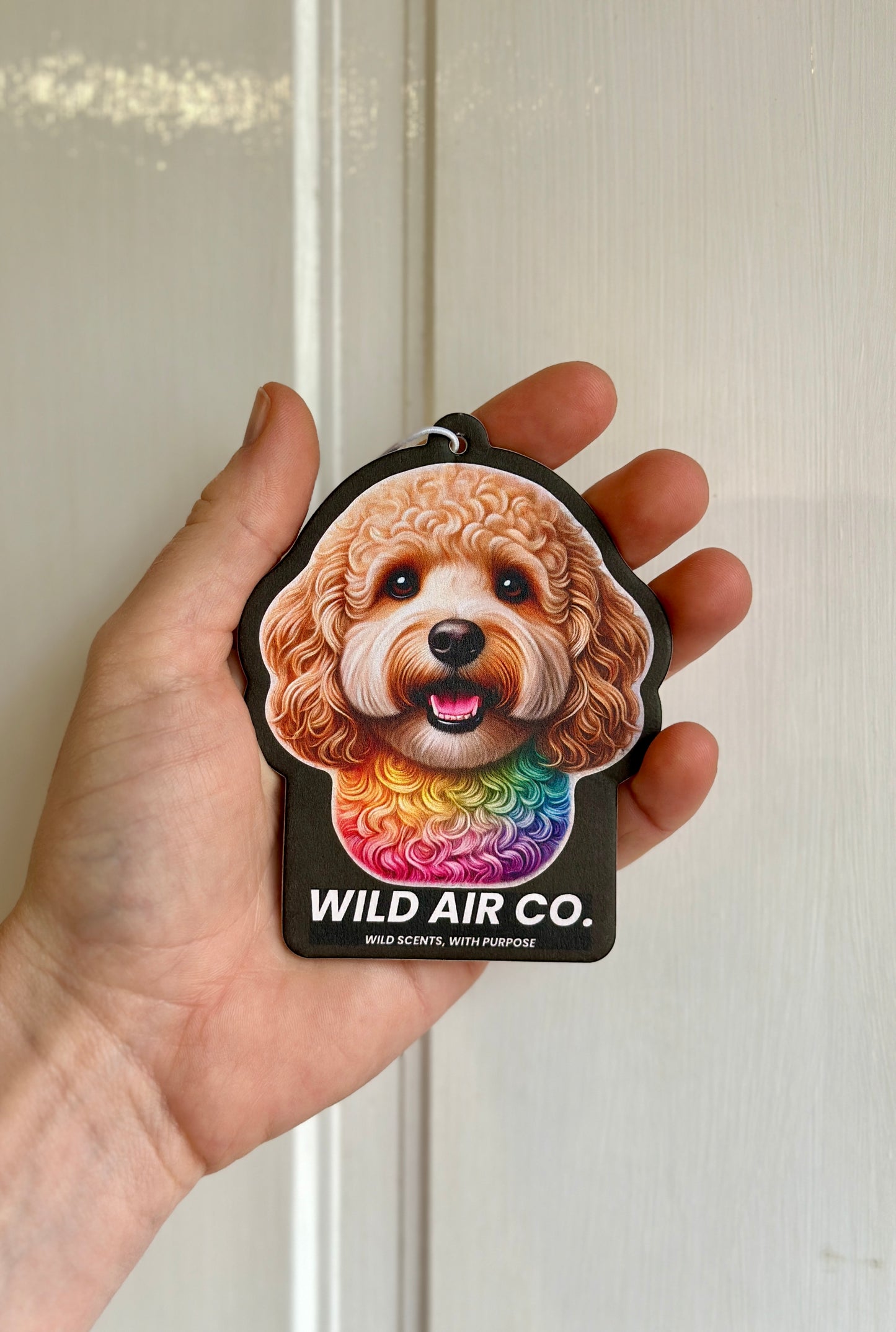 Cavoodle Dog