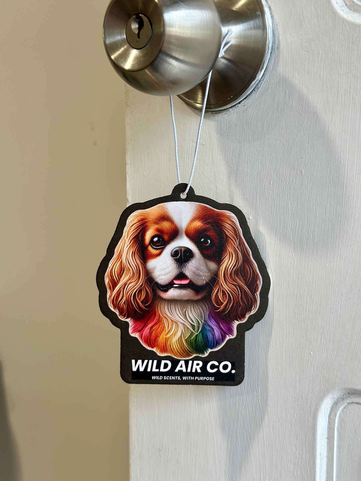 Cavalier King Charles Spaniel Dog