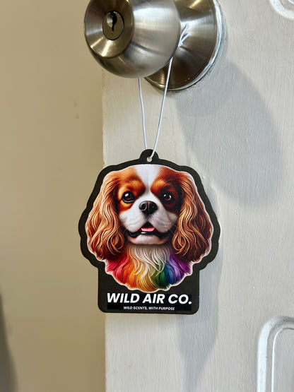 Cavalier King Charles Spaniel Dog