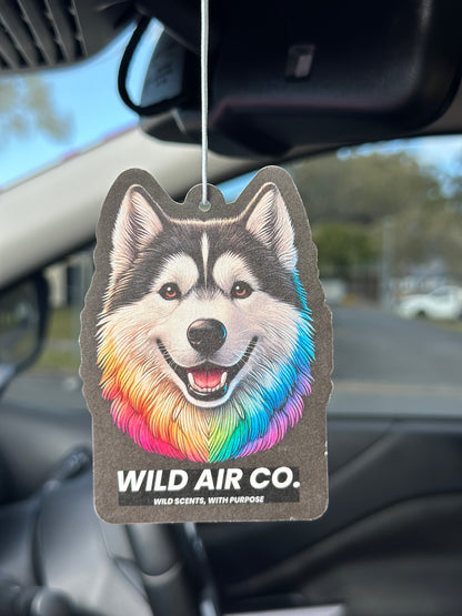 Husky Dog