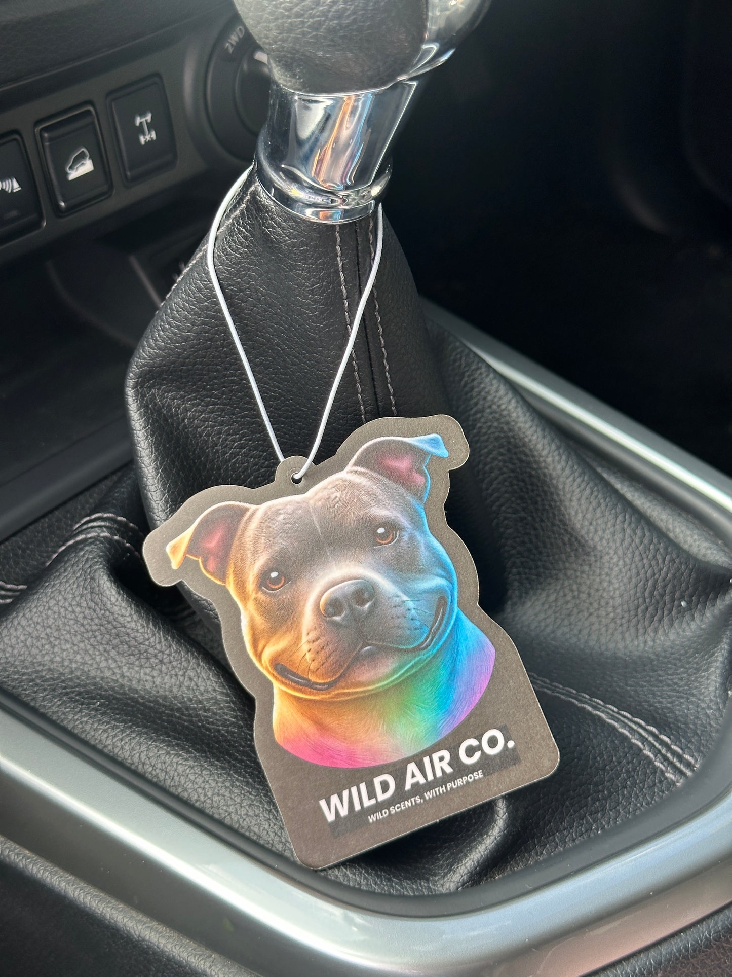 Staffordshire Bull Terrier Dog