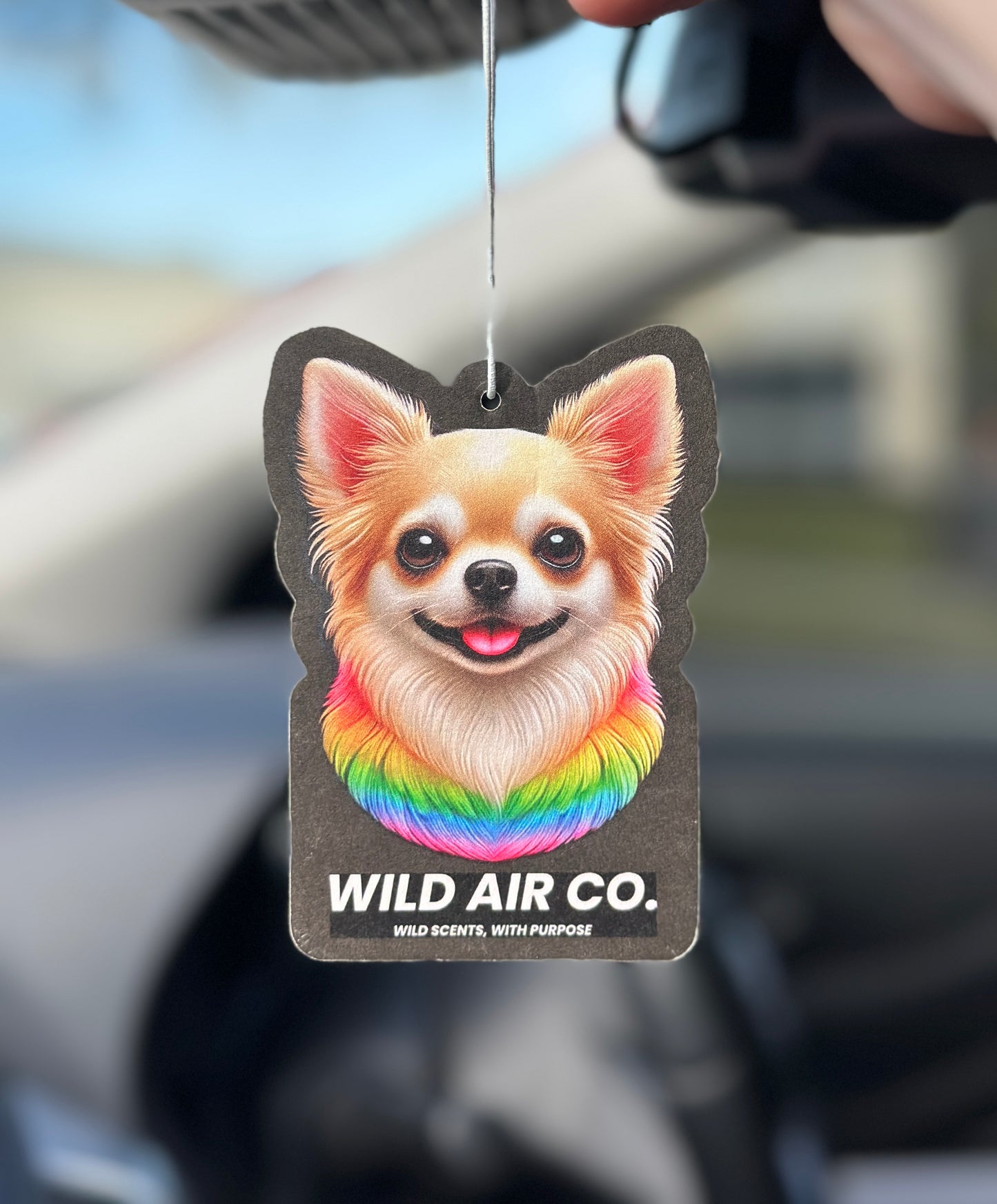 Chihuahua Dog
