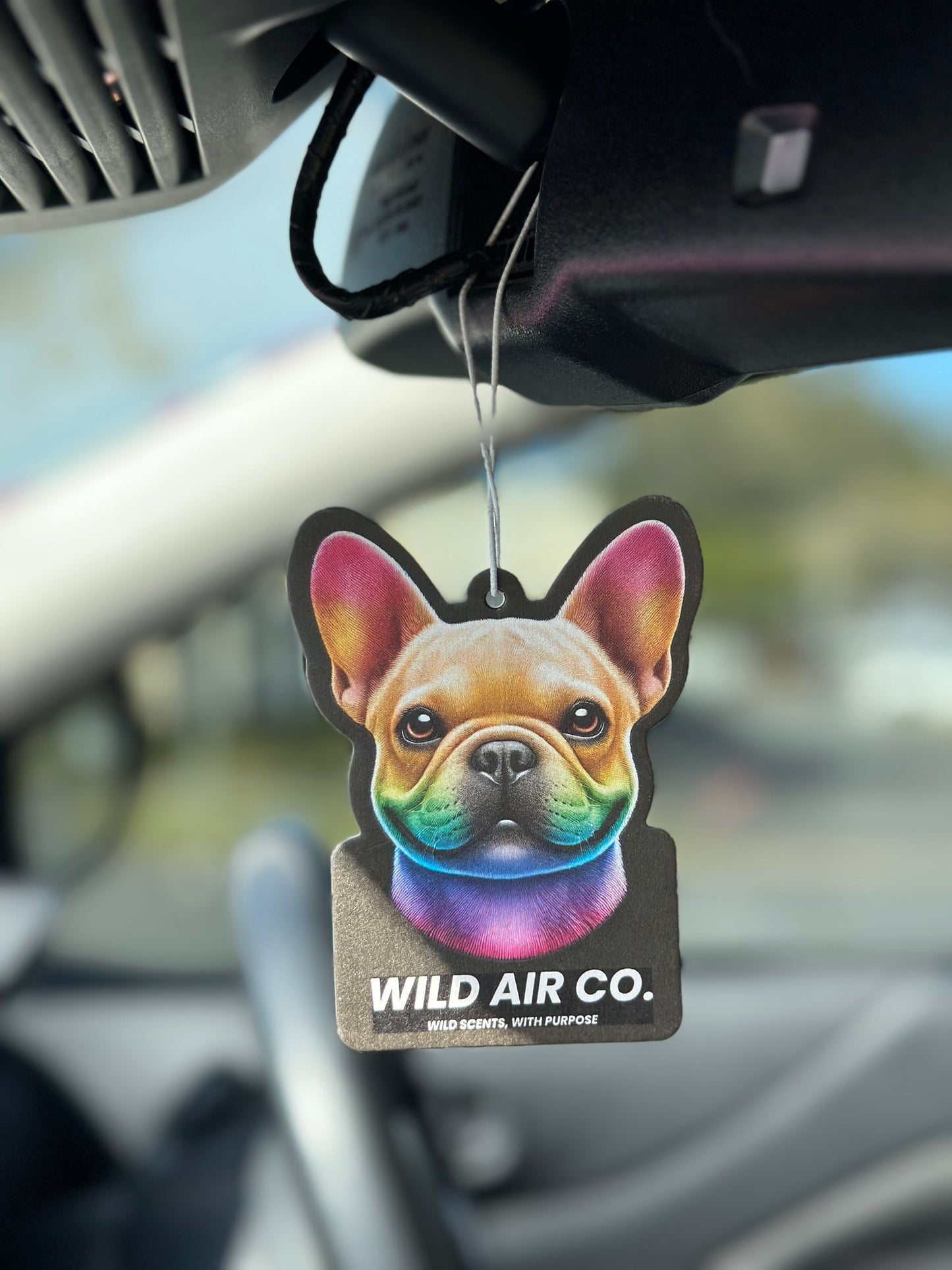French Bulldog
