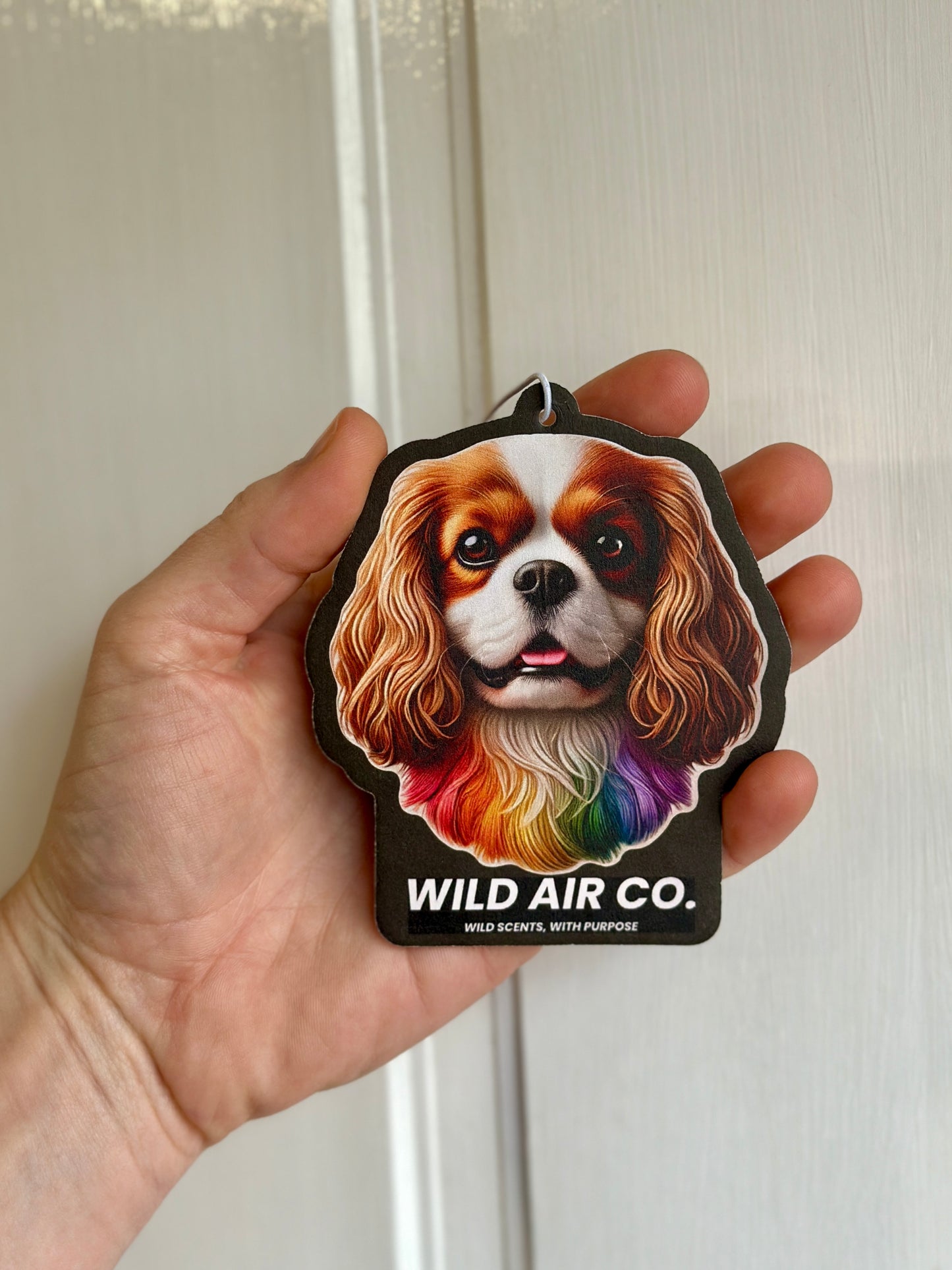 Cavalier King Charles Spaniel Dog