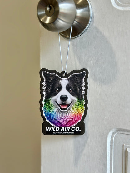 Border Collie Dog