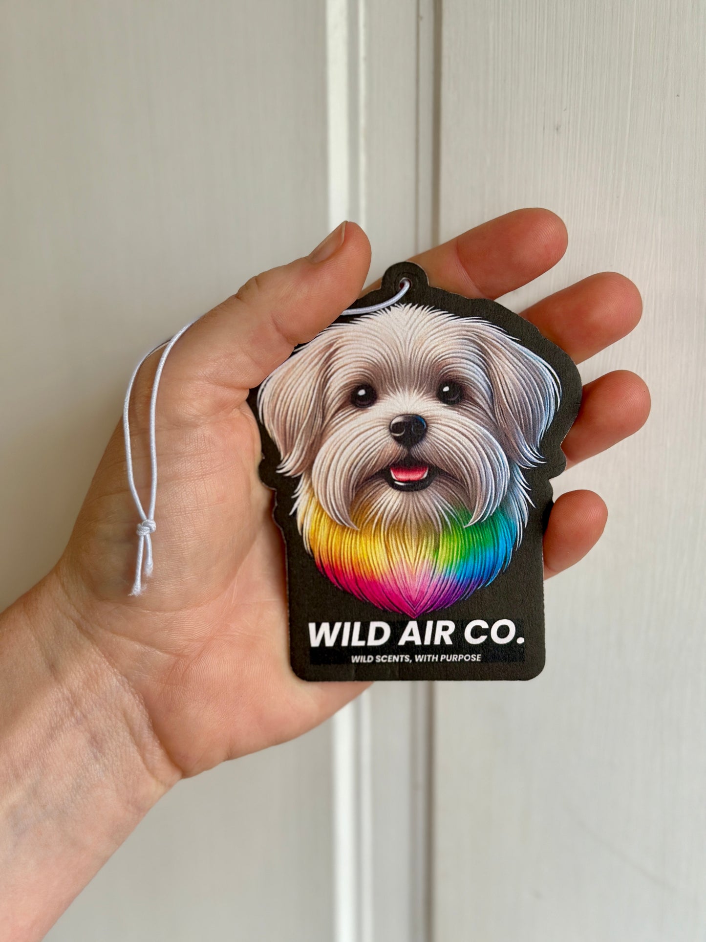 Maltese Dog