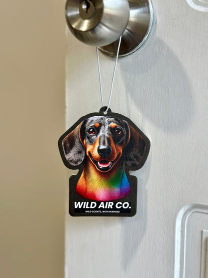 Dachshund Dog