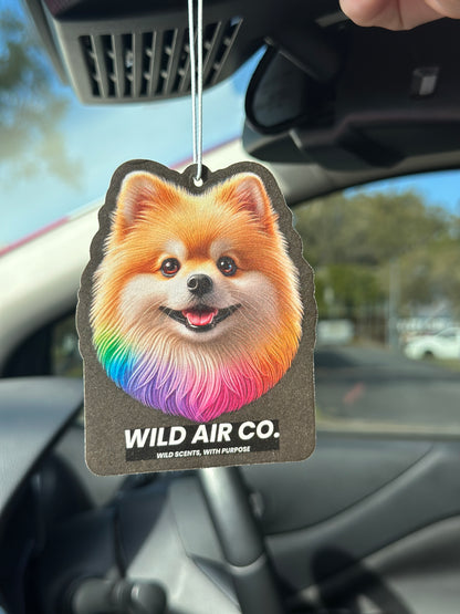 Pomeranian Dog