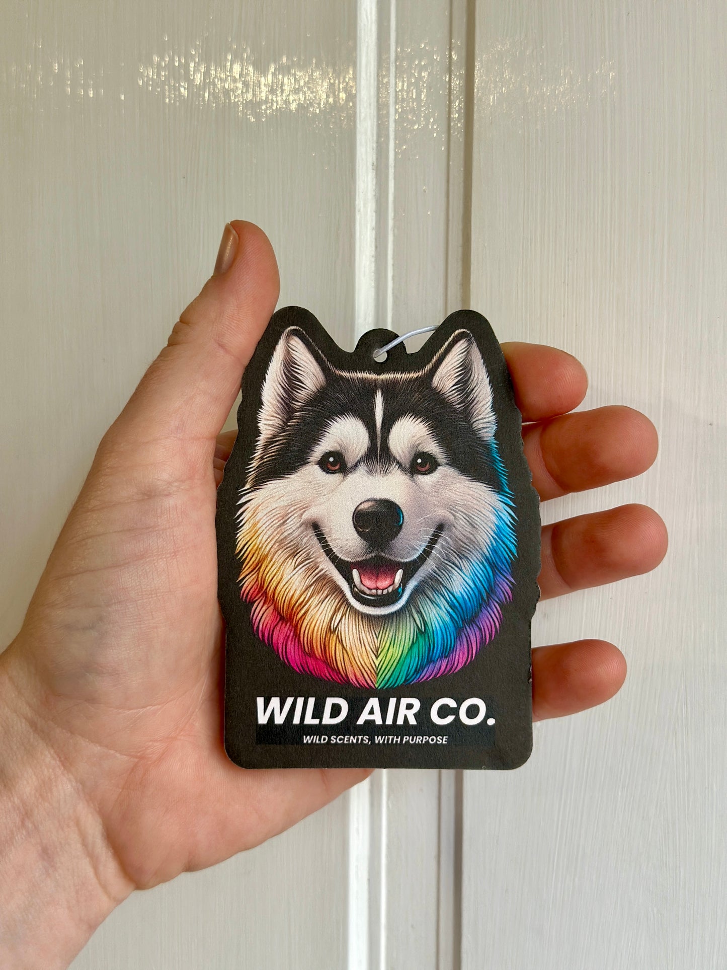 Husky Dog